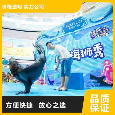 南安市分公司 專業(yè)出租表演鸚鵡，打造難忘動(dòng)物展覽體驗(yàn)